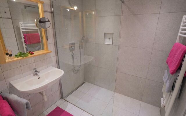 Animal -friendly Apartment in Leogang