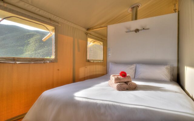 Pat Busch Mountain Reserve