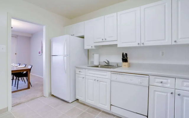 Beautiful & Spacious Apt in Crystal City