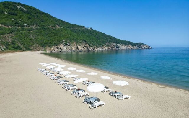 Mukha Ormanli̇