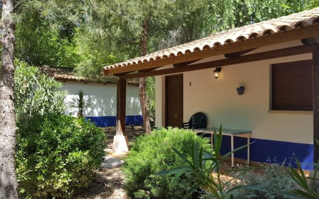 Camping Los Arenales