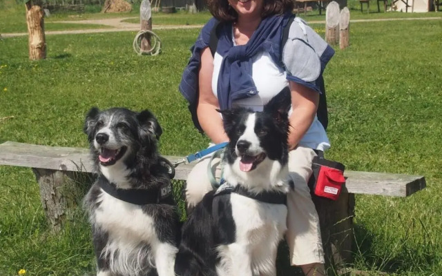 Holiday Apartment Lugworm