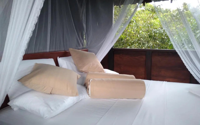 Dambulla Tree House