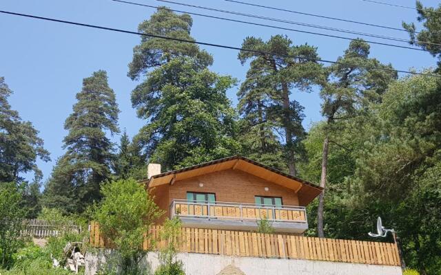 Villa B Barleon-Bakuriani