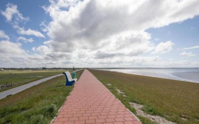 Ferienhaus - Strandflieder