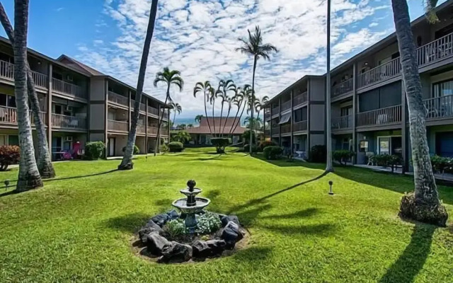 Kona Isle C24