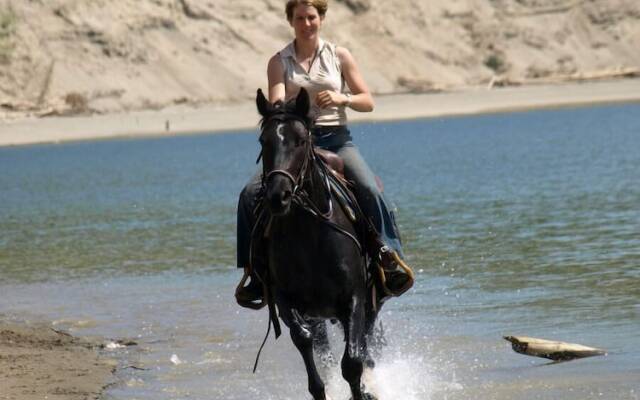 Williston Lake Resort