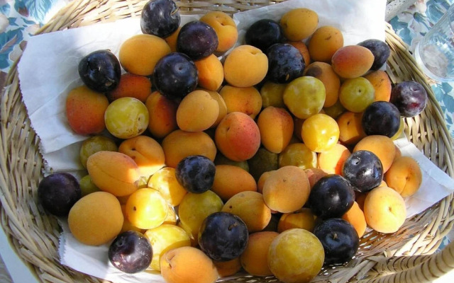 Agriturismo Le Serre