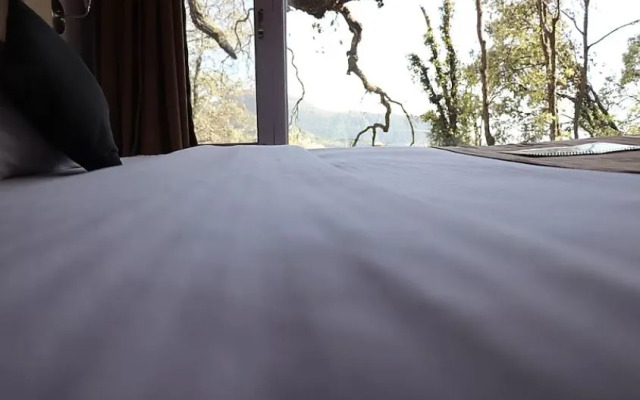 Iris Gellasenheit ( Jasmine II )