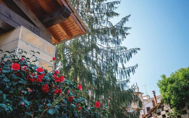 Hotel Konbenio
