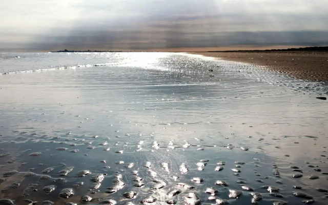 Haus Inselrose Juist