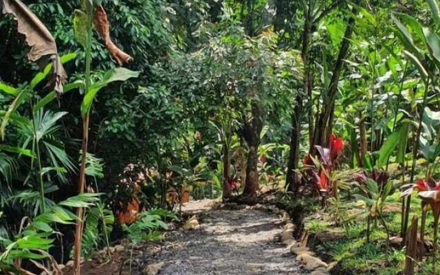 Cabaña el Río