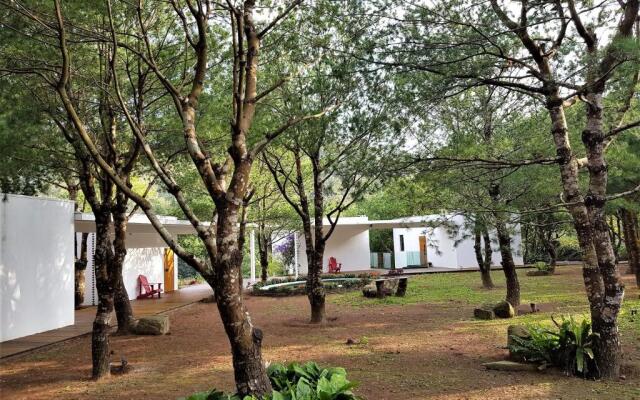 Aroundthetree Hermitage Manor