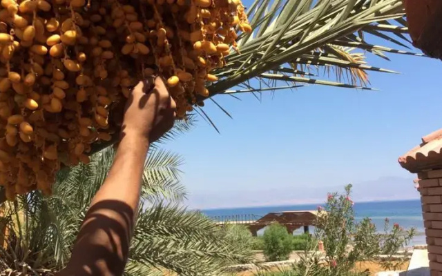 Saraya Beach
