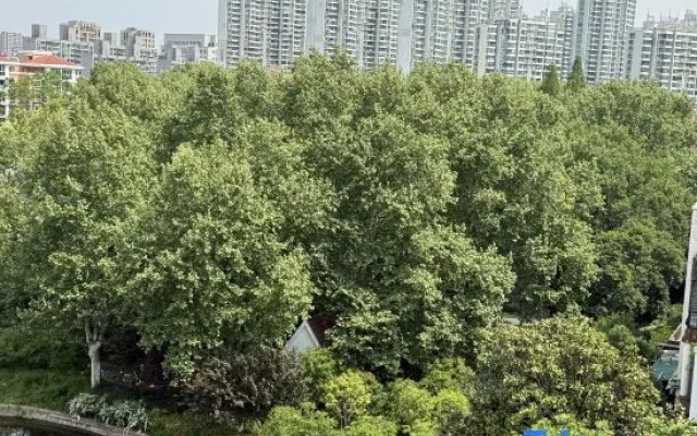 Xinrenren Hotel (Shanghai Daning International Zhabei Park Branch)
