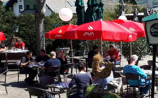 Gasthaus-Pension Zum Lustigen Steirer