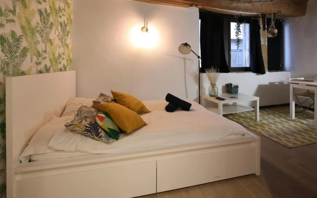 Charming Studio Centre Ville De Lyon