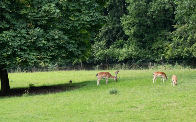 Waldhotel Felsenkeller