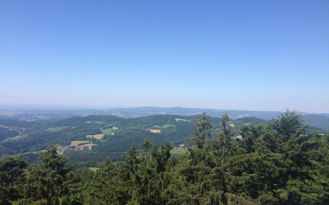 Holiday Flat With Swimming Pool in Prackenbach