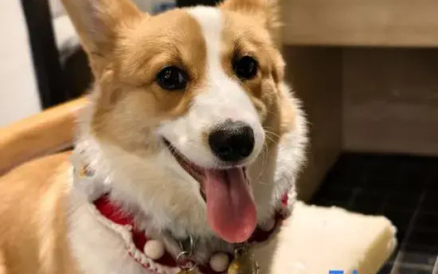 Yuepeak·Vacation Homestay