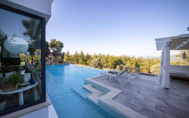 Peaceful Villa With Pool and Garden in Bodrum