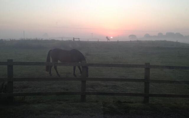 Point Farm B&B