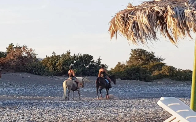 Cedrus and Sea, beachfront house, Gennadi, Rhodes