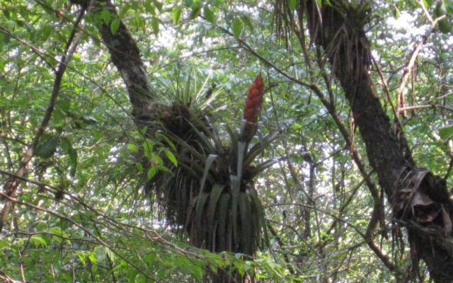Hotel Molino de la Alborada
