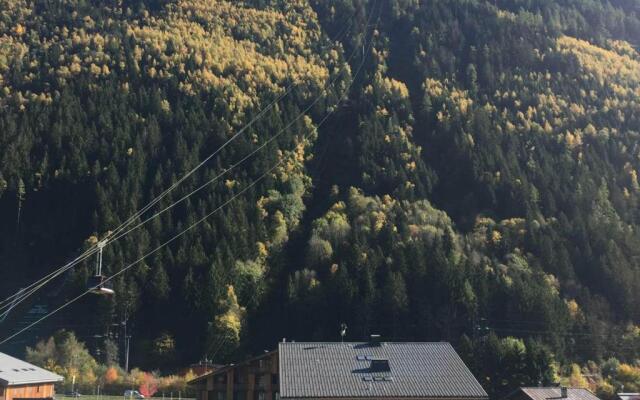 Appartement Chamonix-Mont-Blanc, 2 pièces, 3 personnes - FR-1-517-54