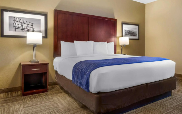 Comfort Inn & Suites Sea-Tac Airport