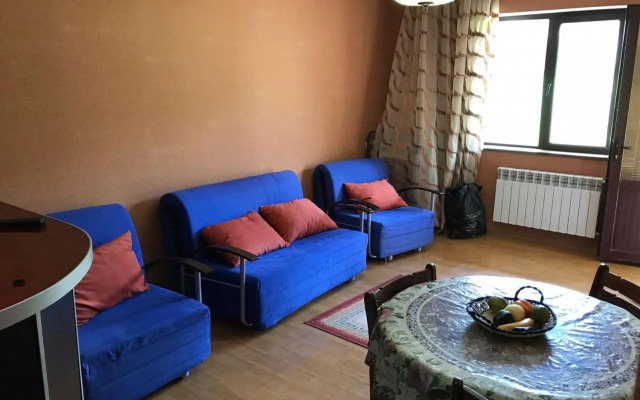 Bakuriani Hills Apartment