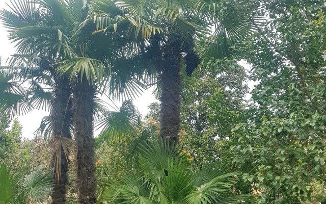 Residenza I Marchesi