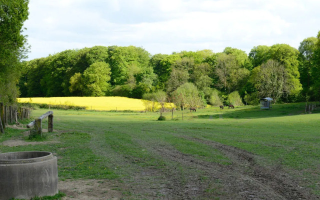 Brit Hotel Le Relais de la Forêt