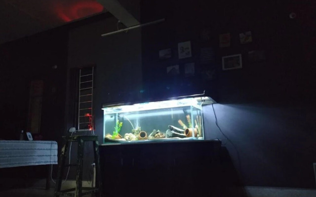 Goroomgo Monkey Mind Hostel Goa