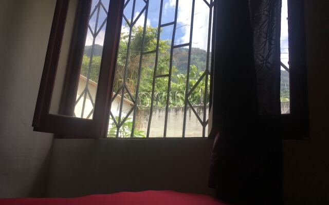 Los Cactus