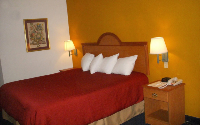 Best Western Albany Garden Inn
