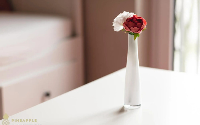 Pineapple Apartments Dresden Zwinger III