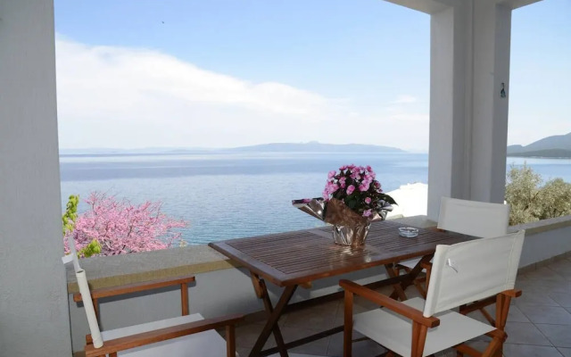 Ira Charming apt with stunning view