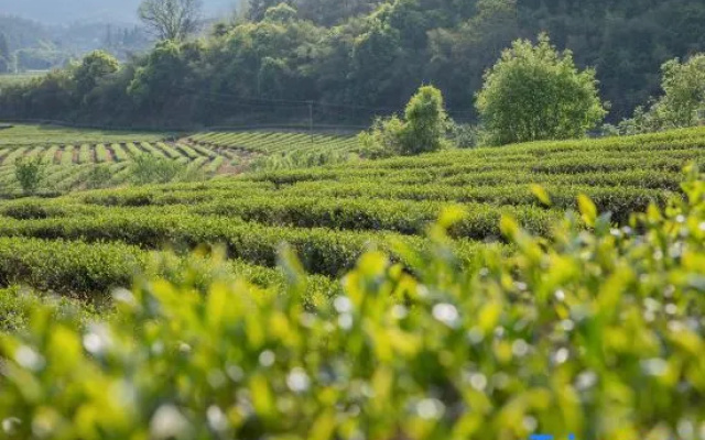 Mengwuyi Boutique Homestay (Wuyishan Scenic Area South Entrance Branch) – Outside – Nanping