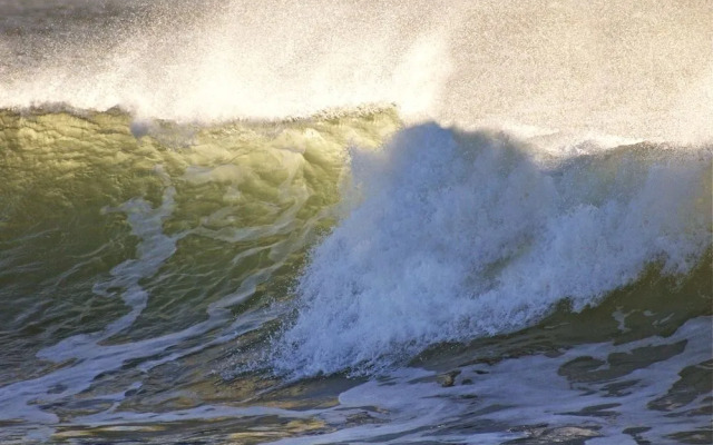 Kokua Surfarm - Hostel