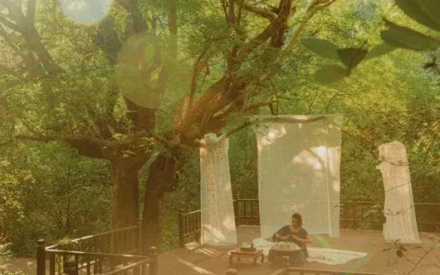 Tree House Nanshan Sanya