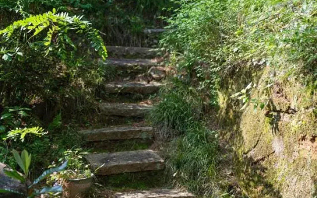 Chunshan Beautiful Villa