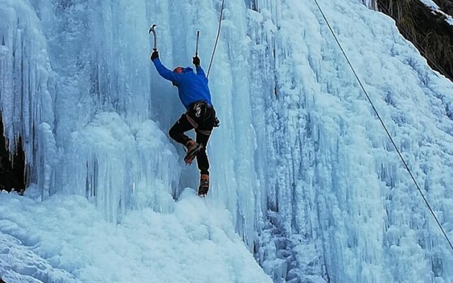 Gite - Auberge Le Chamois
