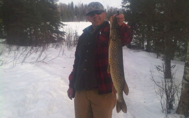 Mooseberry Cabin, Willow AK