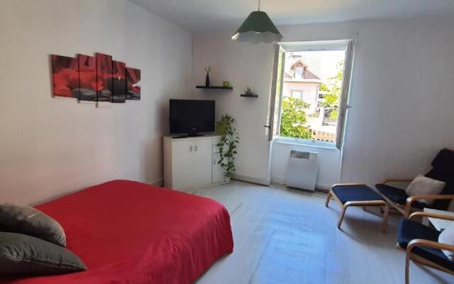 Appartement avec jardin à Colmar