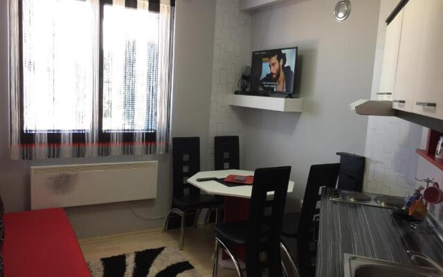 Apartman 2 Kopaonik - Vila Boris