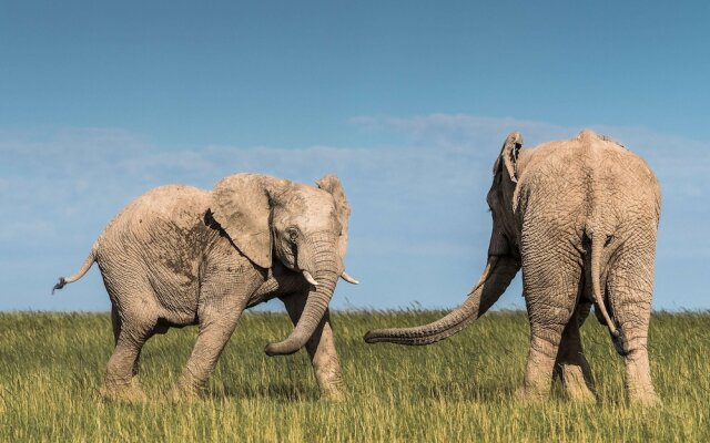 Shamwari Sarili Lodge