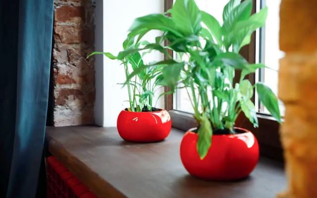 Рус-Ярославль хостел