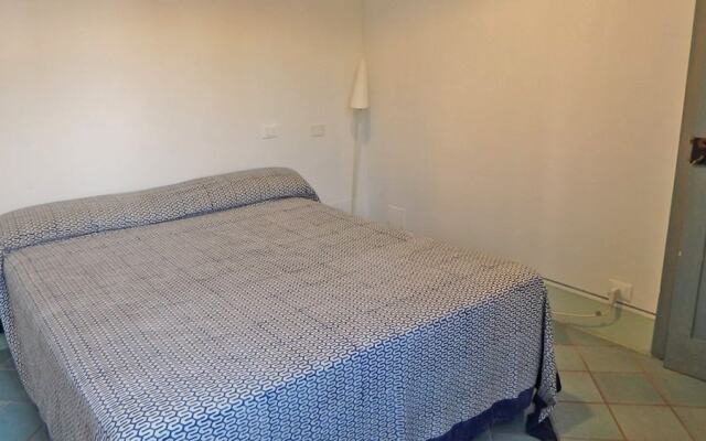 Il polpo e la sirena