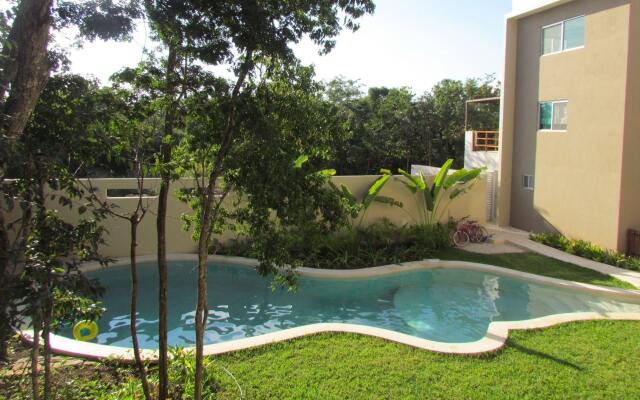 Casa Chachalaca
